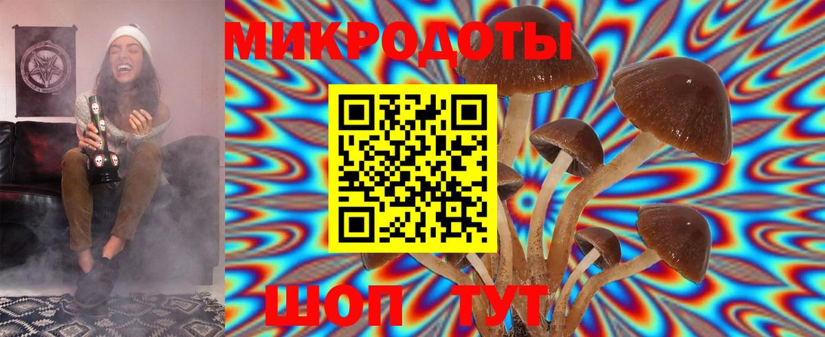 Галлюциногенные грибы MAGIC MUSHROOMS Норильск
